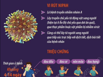 THÔNG TIN VỀ DỊCH BỆNH DO VI RÚT NIPAH VÀ KHUYẾN CÁO  PHÒNG CHỐNG TẠI VIỆT NAM